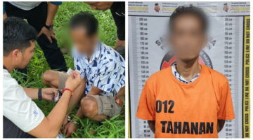 Sat Narkoba Polres Simalungun Tangkap Pengedar Narkoba di Perkebunan Karet