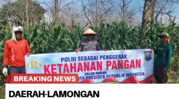 Lap Giat polmas Sebagai penggerak Program Ketahanan pangan di wilayah kecamatan bluluk.