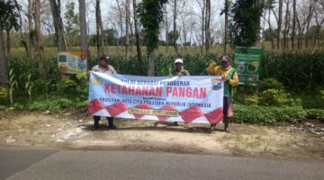 ANGGOTA BHABIN / POLMAS DESA BRONJONG MELAKSANAKAN PENDAMPINGAN PADA MASYARAKAT DALAM MENANAN TANAMAN PANGAN BERGIZI CABAI, TERONG. TOMAT. JAGUNG DLL DIPERKARANGAN TERKAIT TINDAK LANJUT (P2B) DI WILAYAH KEC. BLULUK.