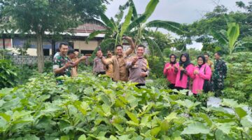 Dukung ketahanan pangan nasional Plh kapolsek Karangbinangun bersama Forkopimcam melaksanakan giat monitoring cek tanaman bergizi.