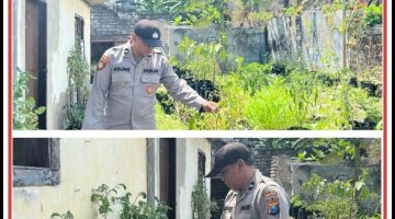 “Kegiatan polisi pengerak desa pekarangan Pangan Bergizi (P2B) diwilayah polsek brondong “