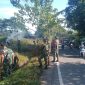Oplus_131072