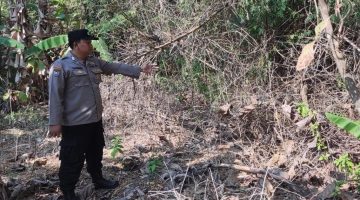 “Polsek Sukodadi Tingkatkan kegiatan Patroli monitoring cegah terjadinya bencana alam seperti pohon tumbang dan banjir diwilayah Sukodadi “