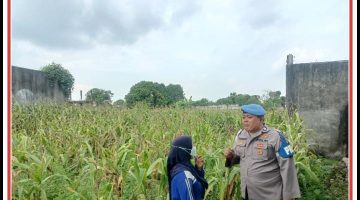 “GIAT PATROLI POLISI PENGGERAK DESA PEKARANGAN PANGAN BERGIZI (P2B) DI WILAYAH KECAMATAN BRONDONG”