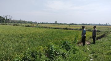 “Anggota Polsek sukodadi laksanakan kegiatan monitoring P2B , Dalam upaya kominmen nya mendukung ketahanan pangan diwilayah kecamatan Sukodadi “