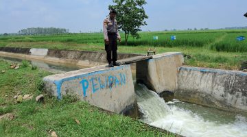 “Patroli perintis presisi antisipasi terjadinya bencana alam banjir dan pohon tumbang di wilayah kedungpring”