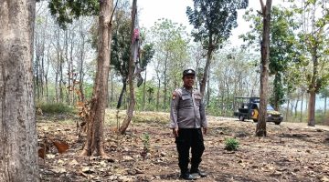 “Polsek Kedungpring, Patroli perintis presisi antisipasi terjadinya bencana alam banjir dan pohon tumbang di wilayah kedungpring”