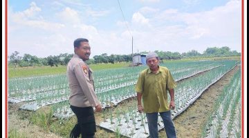 “ANGGOTA POLSEK SUKODADI DORONG KEGIATAN PATROLI POLISI PENGGERAK DESA PEKARANGAN, DALAM UPAYA DUKUNG KETAHANAN PANGAN BERGIZI DIWILAYAH SUKODADI”