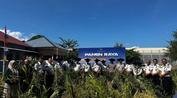 Dukung Ketahanan Pangan Nasional, Lapas Kelas IIA Banda Aceh Ikut serta Panen Raya Serentak Pemasyarakatan