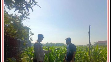 Patroli monitoring p2b dalam upaya komitmen nyata anggota polsek kedungpring dalam mendukung program Asta cita.