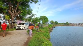 Oplus_131072