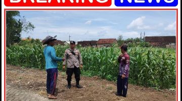Polsek Sukodadi gelar patroli p2b dalam upaya komitmen nyata polri dalam mendukung program Asta cita. 
