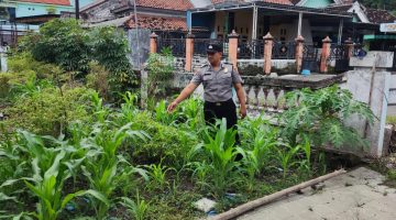 Polsek Sukodadi gelar patroli p2b dalam upaya komitmen nyata polri dukung ketahanan pangan bergizi. 