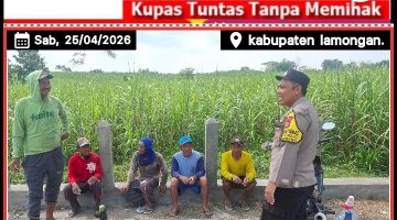 Polsek sambeng Giat cangkrukan kamtibmas antara lain ajak warga jaga kamtibmas di wilayah sambeng yang aman dan kondusif. 