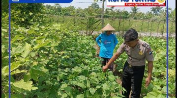 Dalam upaya komitmen nyata polri dalam mendukung program Asta Cita melaksanakan kegiatan monitoring p2b. 