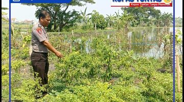 Polsek glagah polres lamongan gelar patroli p2b, dalam upaya komitmen nyata kepedulian polri dalam mendukung program Asta cita presiden RI. 