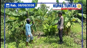 Polsek Sambeng, Patroli p2b dalam upaya komitmen nyata polri Mendukung ketahanan pangan bergizi di wilayah Sambeng. 